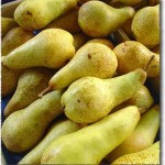 Круши Абат Фетел