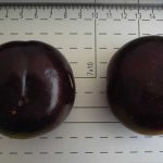 Angelino plums